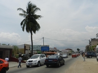 District d’Abidjan / Jardin botanique de Koumassi : Deux barons du Pdci cèdent 3 ha à un promoteur immobilier